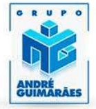 Grupo André Guimarães